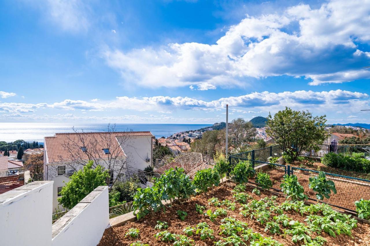 Apartment Debos Dubrovnik Dış mekan fotoğraf